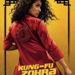 Развод В Стиле Кунг-Фу Постер