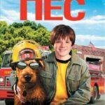 Пожарный Пес Постер