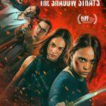 Блуждающая Тень Постер